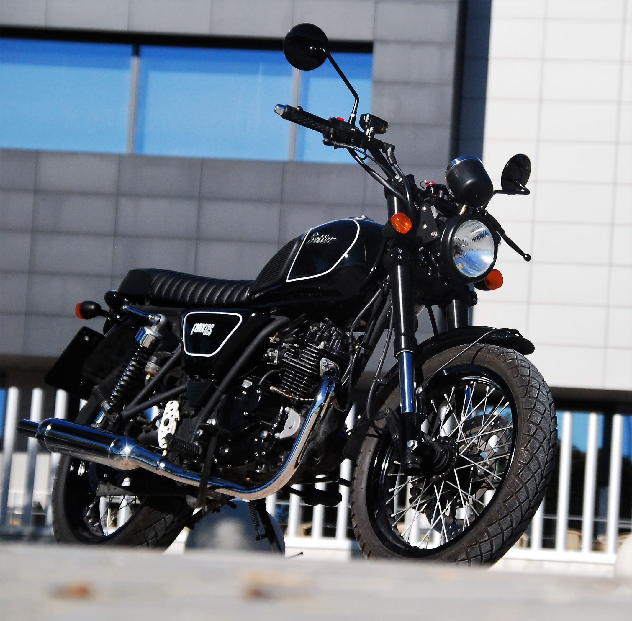 fenix-cuadrada-poligono_web (1)